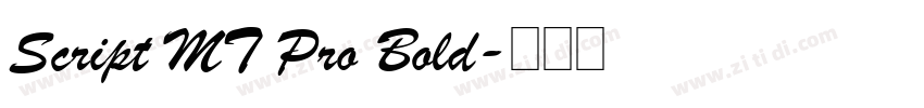 Script MT Pro Bold字体转换